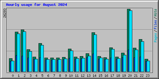 Hourly usage for August 2024