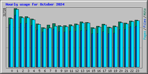 Hourly usage for October 2024