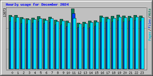 Hourly usage for December 2024