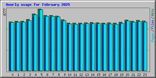 Hourly usage for February 2025