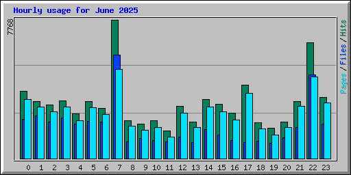 Hourly usage for June 2025