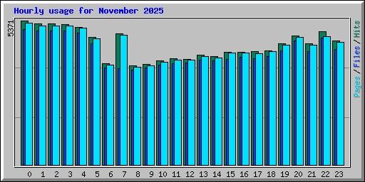 Hourly usage for November 2025