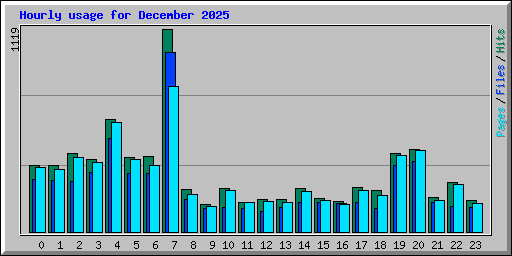 Hourly usage for December 2025