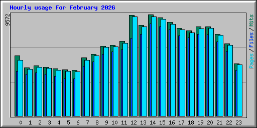 Hourly usage for February 2026
